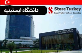 دانشگاه ایستینیه