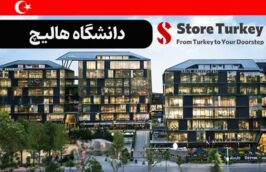 دانشگاه هالیچ